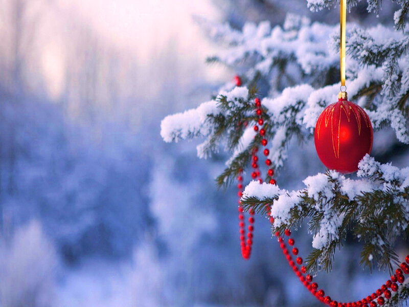 Red Ornament on Tree — Peaceful, Winter, Photograph