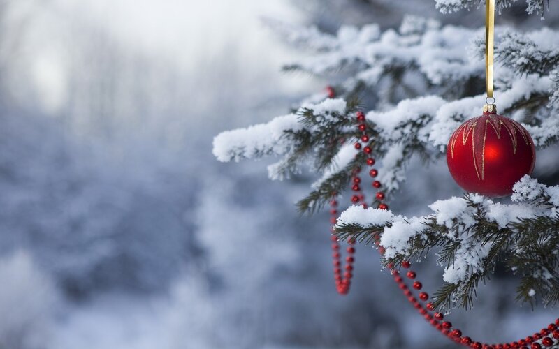 Red Ornament on Tree — Peaceful, Winter