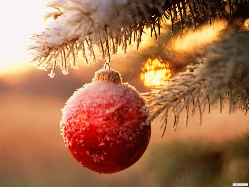 Red Ornament on Tree — Serene