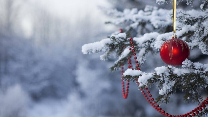 Red Ornament on Tree — Serene, Winter, Photograph, Snow, Beads