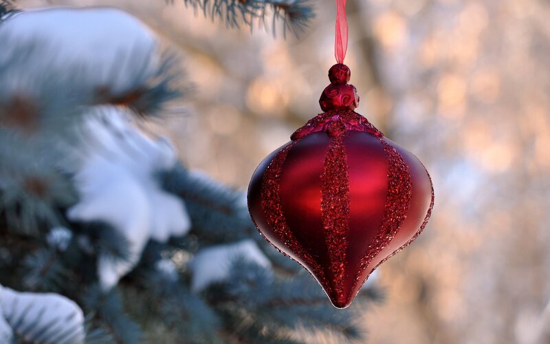 Red Ornament on Tree — Serene, Winter, Photograph, Snow, Pine Branches