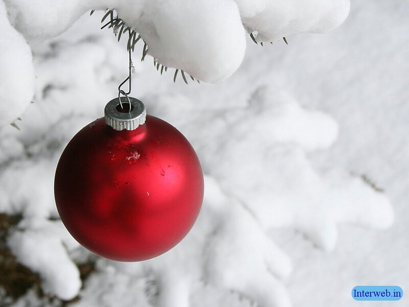 Red Ornament on Tree — Serene, Winter, Photograph, Snow