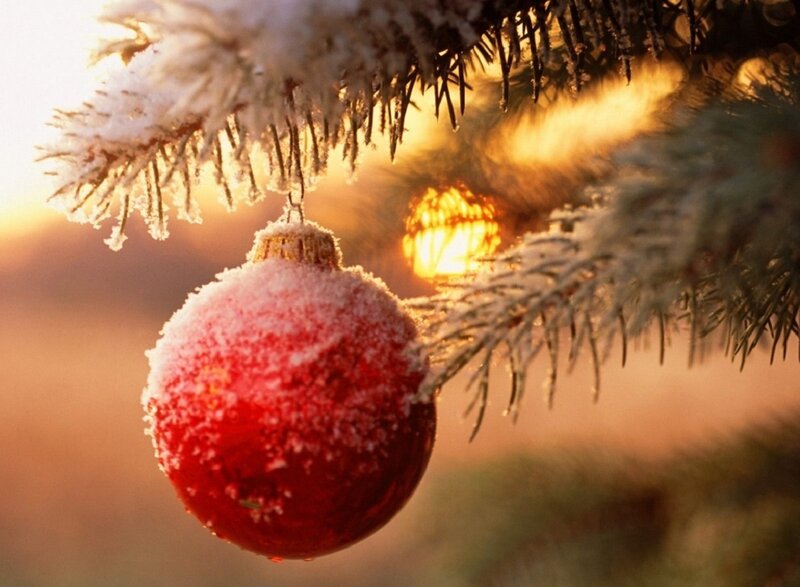 Red Ornament on Tree — Serene, Winter, Photograph, Snow, Tree Branch