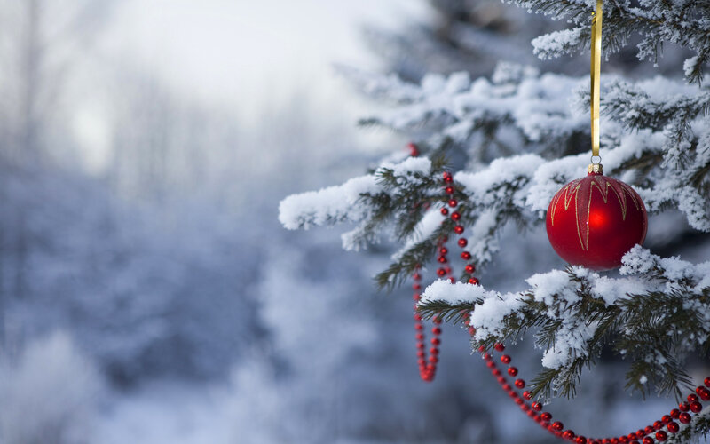 Red Ornament on Tree — Serene, Winter