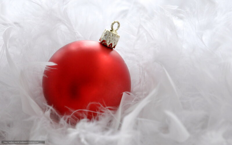 Red ornament on white feathers