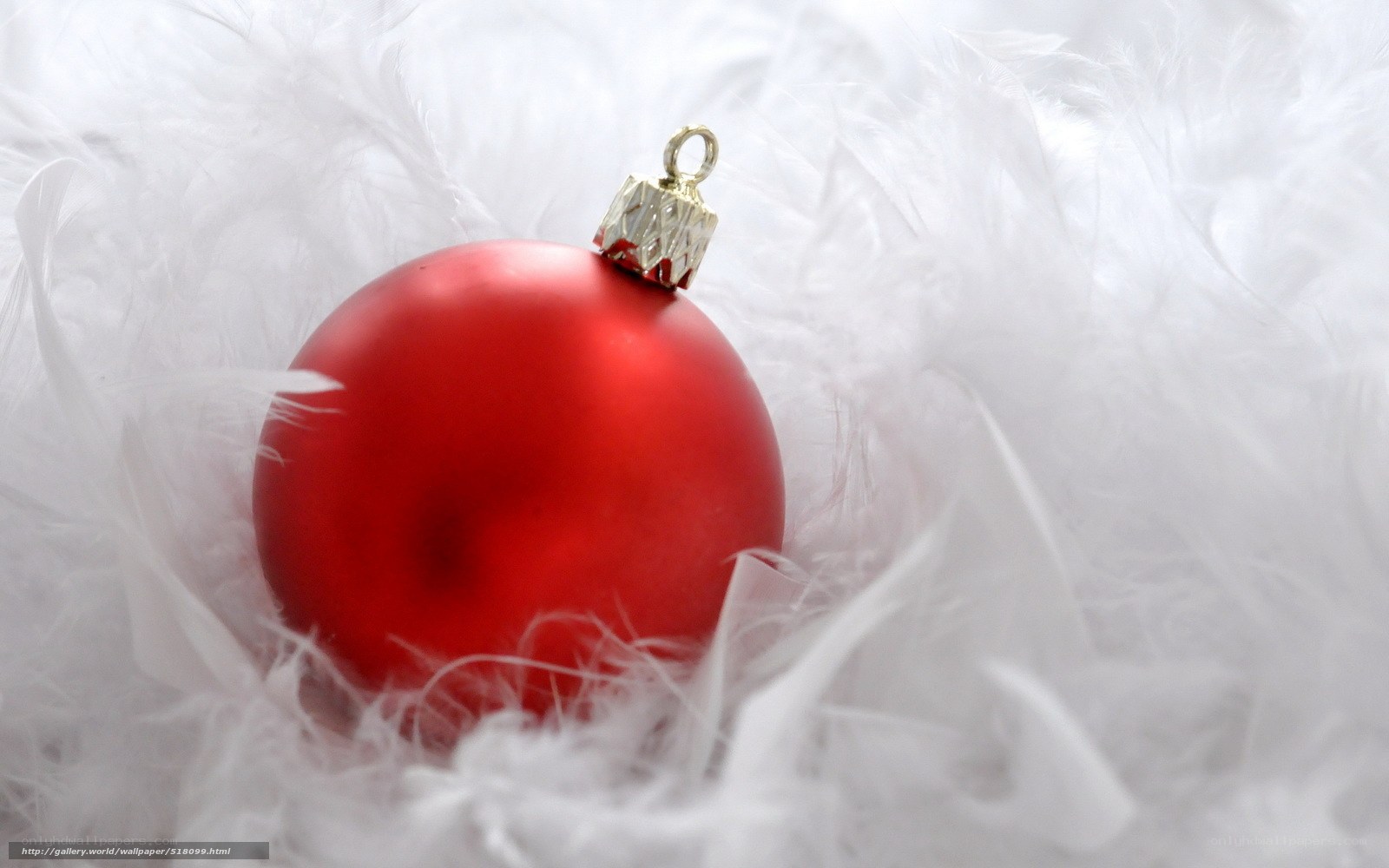 Red ornament on white feathers