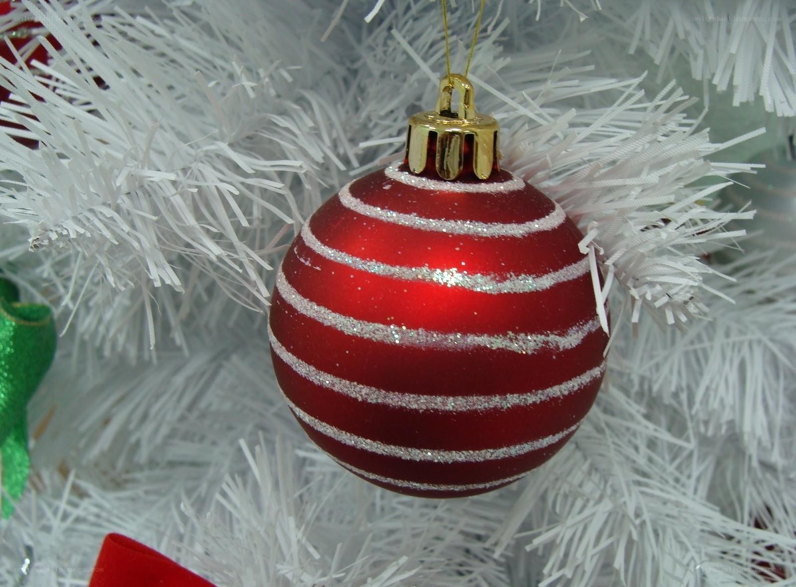 red ornament on white tree