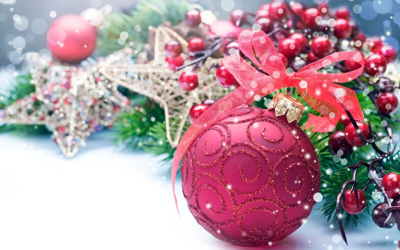 Red Ornament with Berries — Festive, Winter