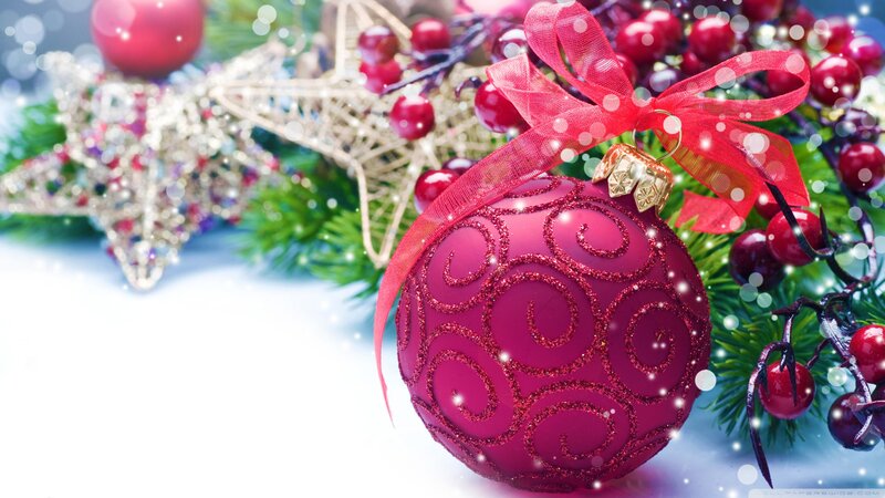 Red Ornament with Bow — Festive, Winter, Photograph, Berries