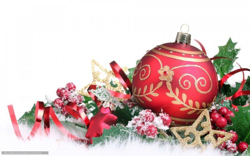 Red Ornament with Holly — Festive, Winter, Photograph