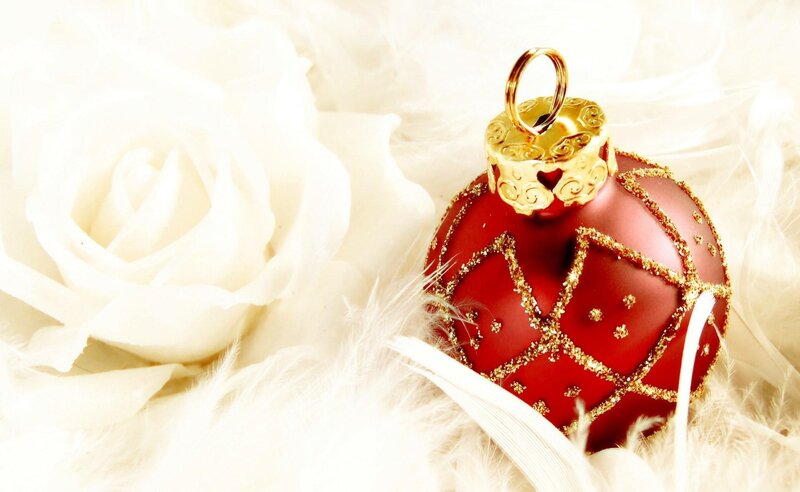 Red Ornament with White Rose — Festive, Photograph, Feathers