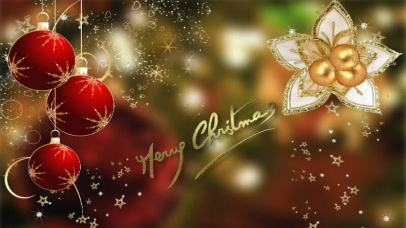 Red Ornaments and Golden Flower