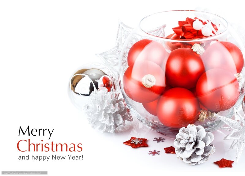 Red Ornaments in Glass Bowl — Festive, Winter, Photograph