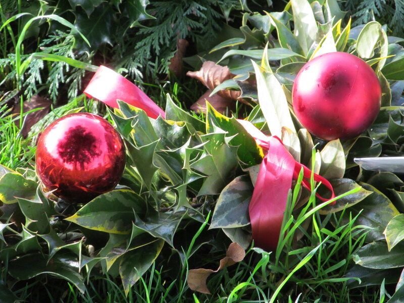 Red Ornaments in Holly