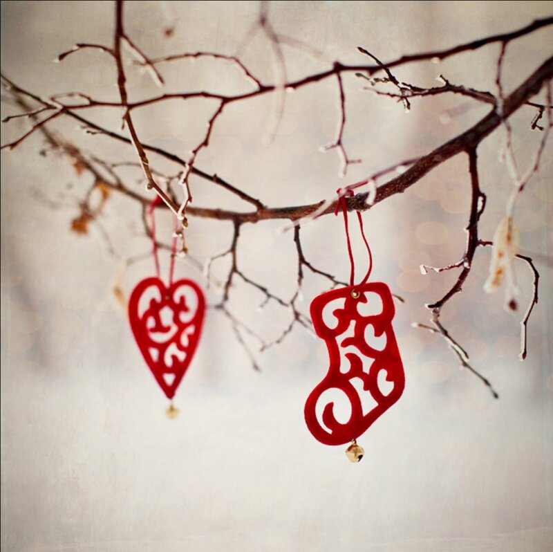 Red Ornaments on Branch — Festive, Winter
