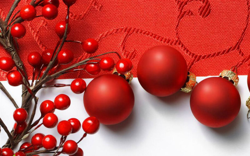 Red Ornaments on Branches — Festive, Winter, Photograph