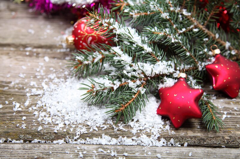 Red Ornaments on Pine Branch