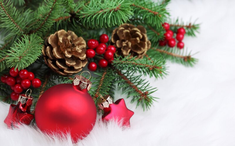Red Ornaments on Pine Branches — Festive