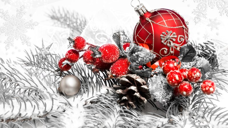 Red Ornaments on Pine Branches — Festive, Winter, Photograph, Berries