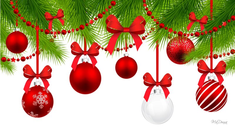 Red Ornaments on Pine Branches — Festive, Winter, Vector Art