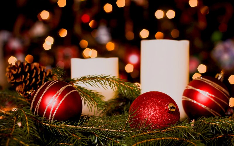 Red Ornaments on Pine — Festive, Night