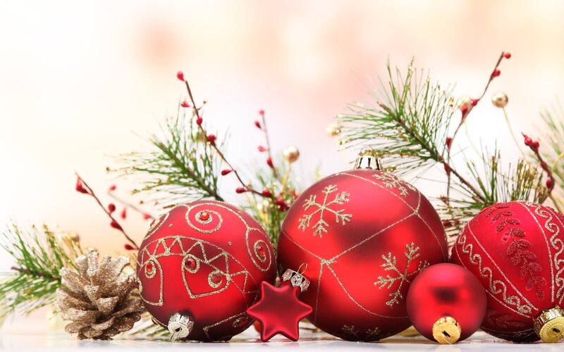 Red Ornaments on Pine — Festive, Winter, Photograph, Pine Branches, Pinecone