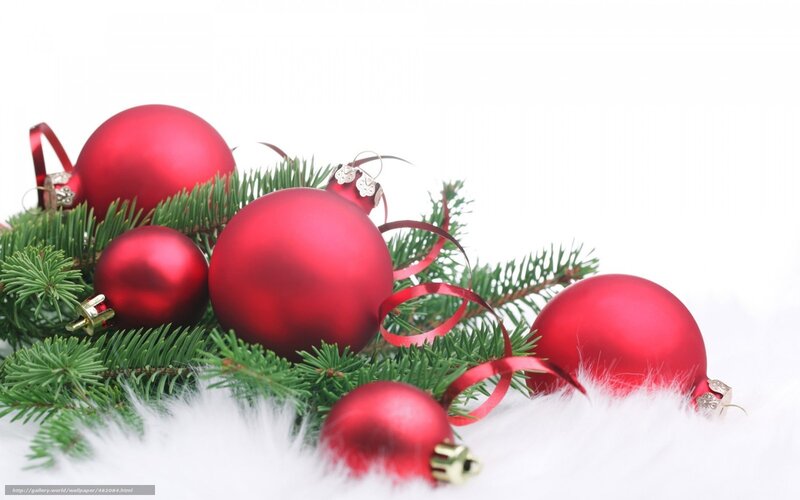 Red Ornaments on Pine — Festive, Winter, Photograph, Pine Branches, Ribbons, White Fur