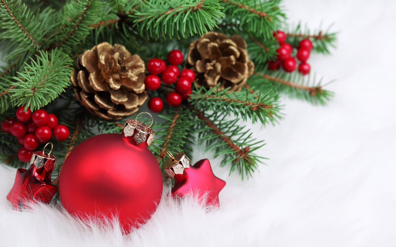 Red Ornaments on Pine — Festive, Winter, Photograph, Pine Branches