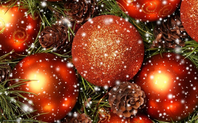 Red Ornaments on Pine — Festive, Winter, Photograph, Pine Cones