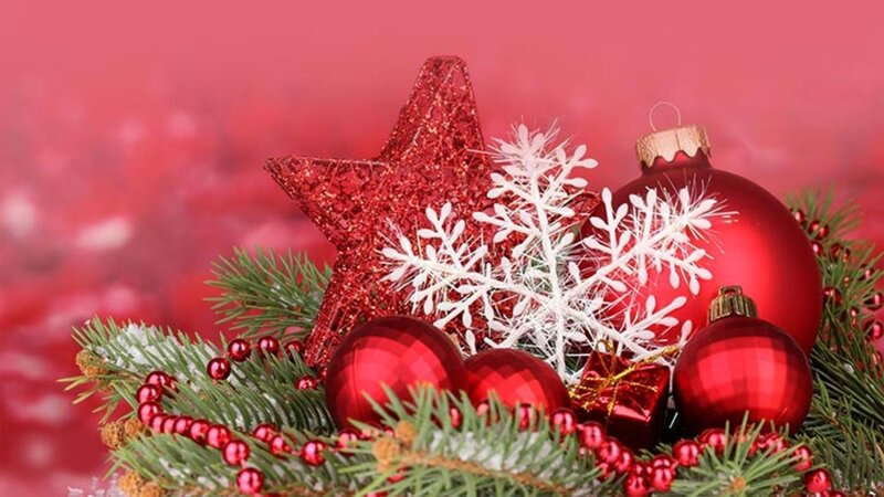 Red Ornaments on Pine — Festive, Winter, Photograph, Star