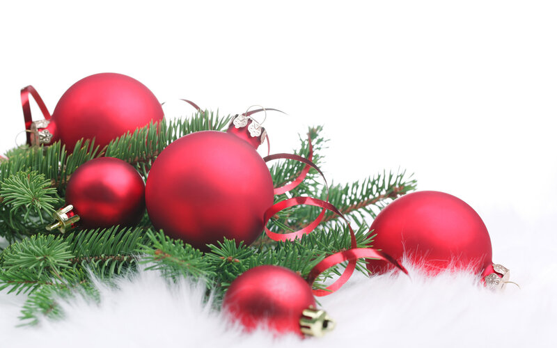 Red Ornaments on Pine — Festive, Winter, Photograph