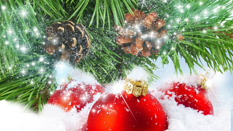 Red Ornaments on Pine