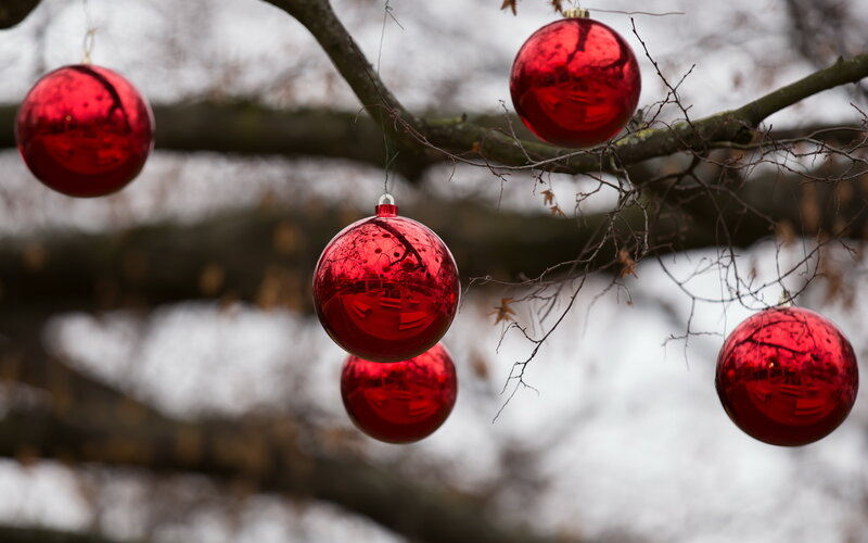 Red Ornaments on Tree — Calm