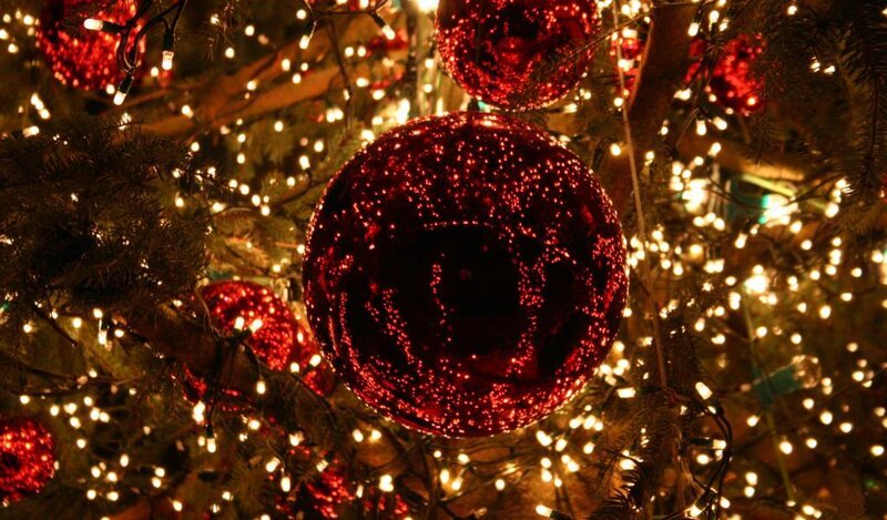 Red Ornaments on Tree — Festive, Night, Photograph, Lights, Branches