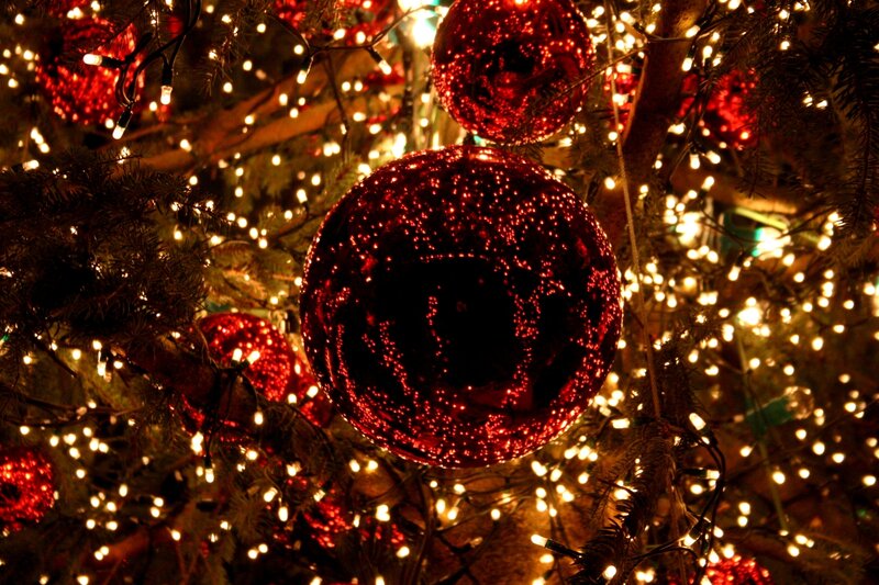 Red Ornaments on Tree — Festive, Night, Photograph
