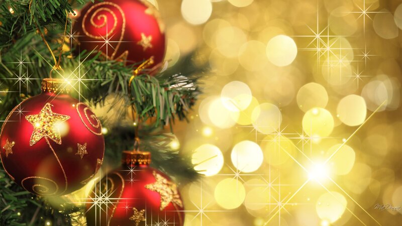 Red Ornaments on Tree — Festive, Winter, Photograph, Christmas Tree, Bokeh Lights