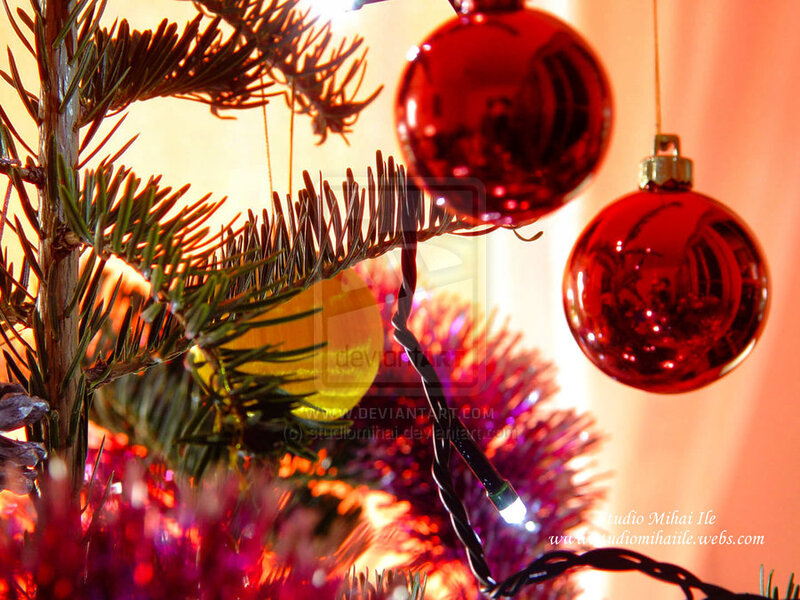 Red Ornaments on Tree — Festive, Winter, Photograph, Pine Branches, String Lights