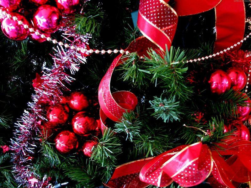 Red Ornaments on Tree — Festive, Winter, Photograph, Ribbons