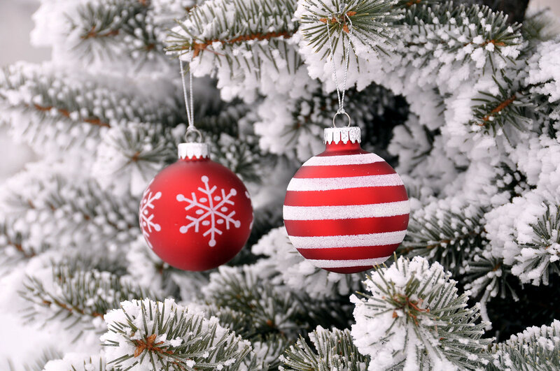 Red Ornaments on Tree — Festive, Winter, Photograph, Snow