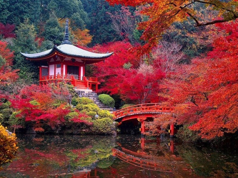 Red Pagoda in Autumn — Serene, Photograph, Bridge, Pond, Trees, Green, Brown