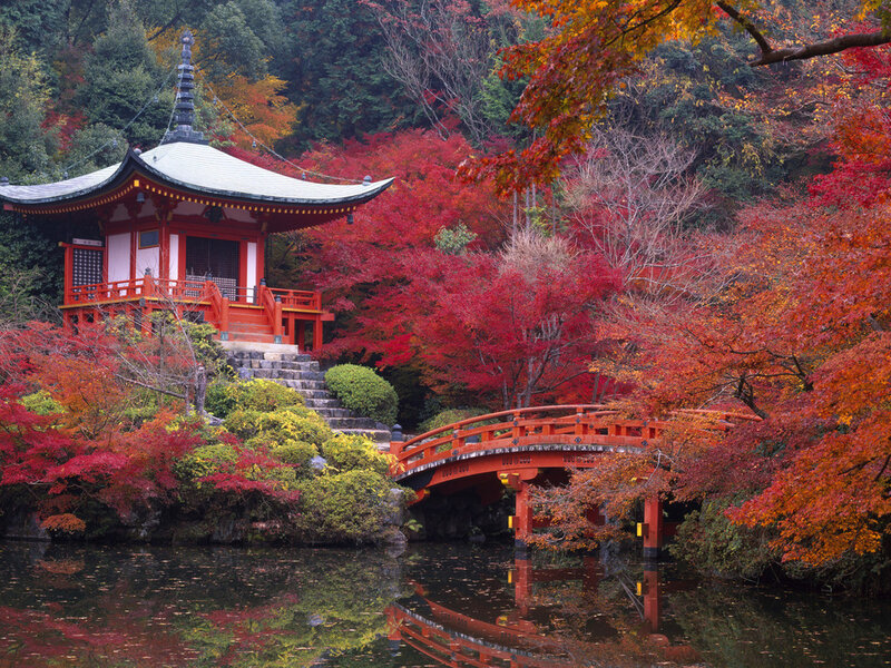 Red Pagoda in Autumn — Serene