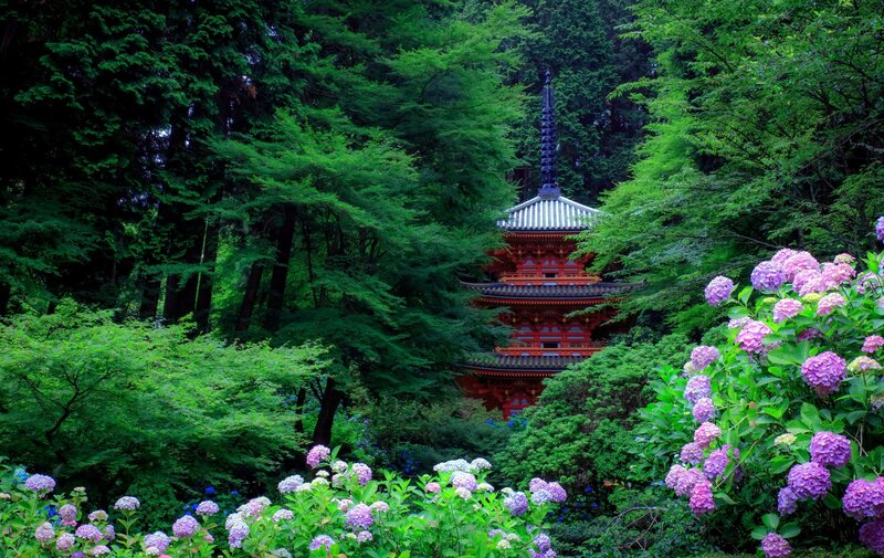Red Pagoda in Forest — Green, Serene