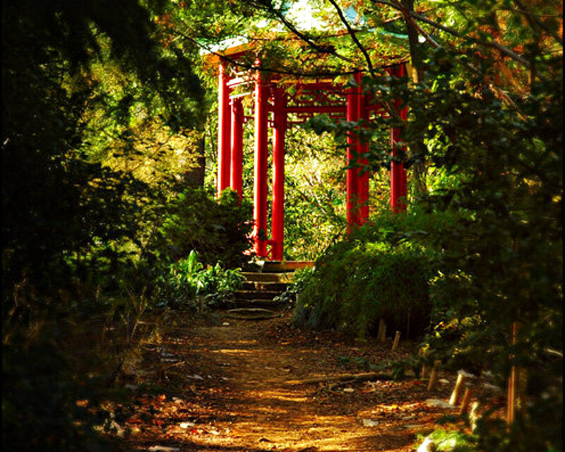 Red Pagoda in Forest — Green