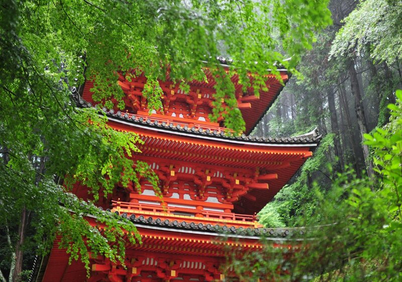 Red Pagoda in Forest