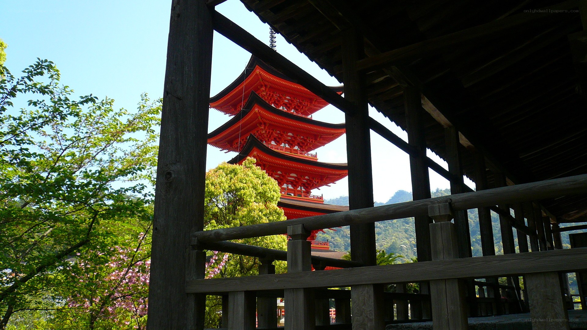 Red pagoda through wooden frame