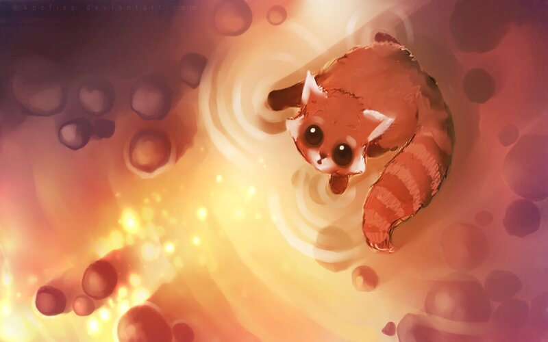 Red Panda Cub — Orange, Dreamy