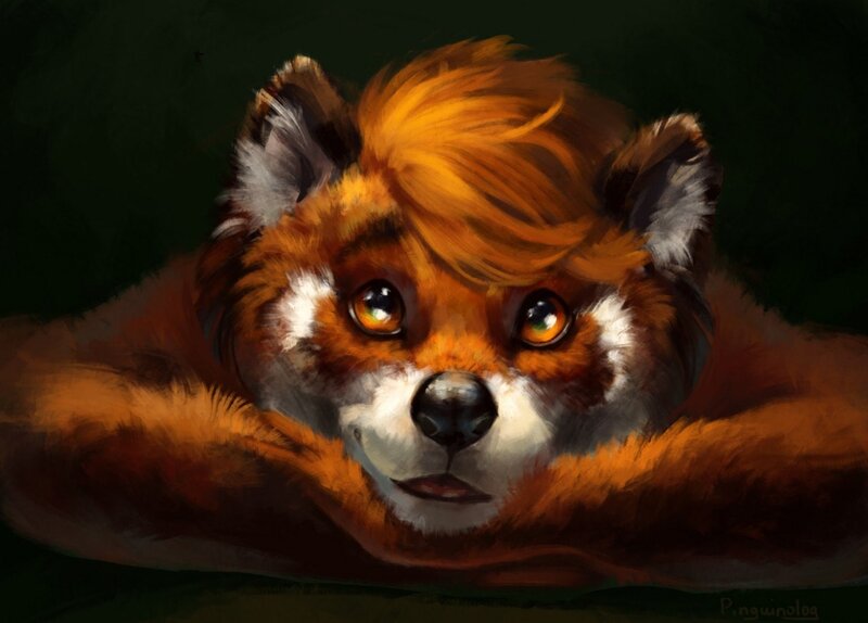 Red Panda Face — Orange, Dramatic