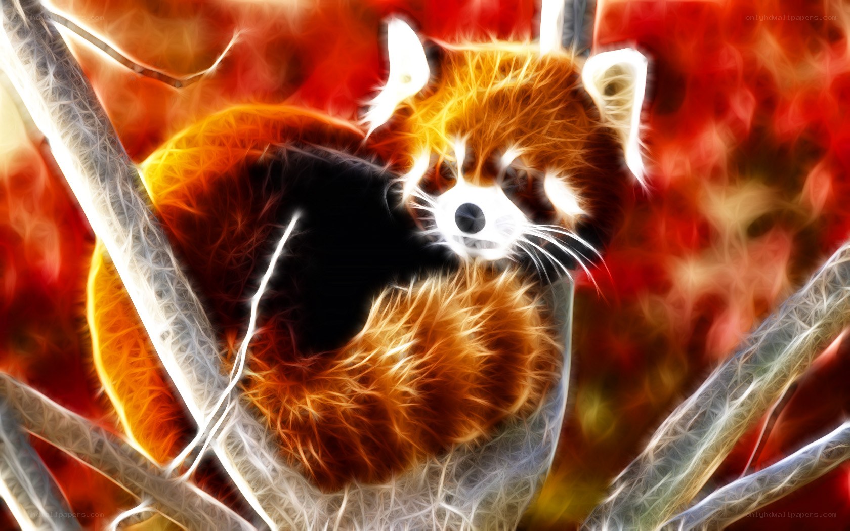 Red panda in autumn colors