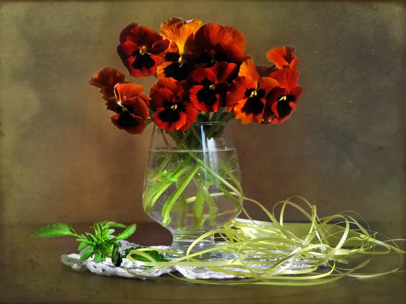 Red Pansies in Vase