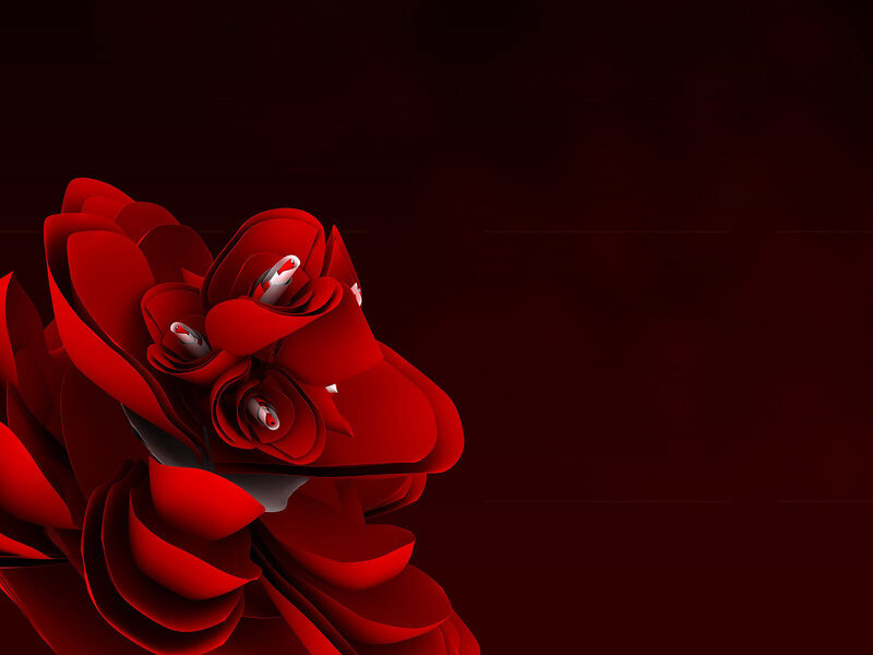 Red Paper Flower